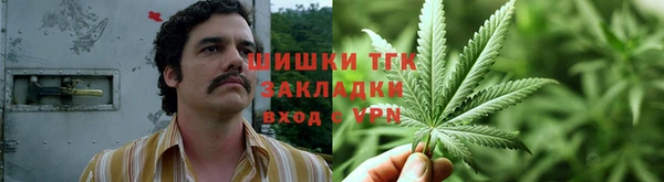 СК Алексин