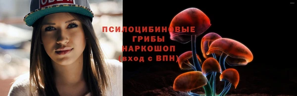 СК Алексин