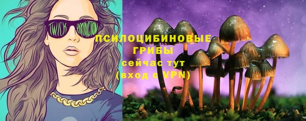 a pvp Алзамай