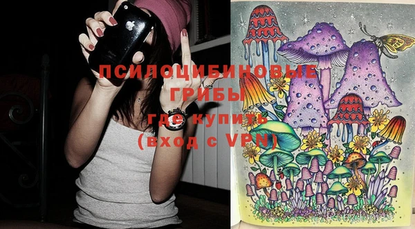 твердый Алексеевка