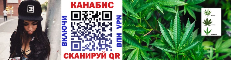 что такое наркотик  Грязовец  МАРИХУАНА сатива 